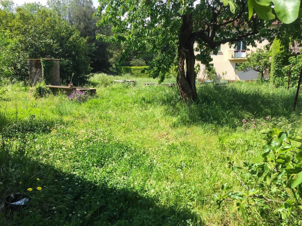 Le Mas Du Figuier, Maison De Vacances Le Bousquet-d'Orb Ngoại thất bức ảnh
